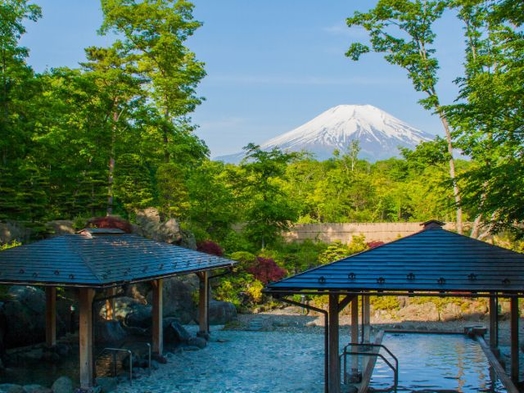 『素泊まりプラン』富士山・富士五湖周辺満喫！自由きまままにのんびりと・・現金特価　《全室禁煙》